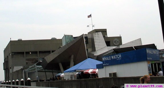 New England Aquarium , Boston