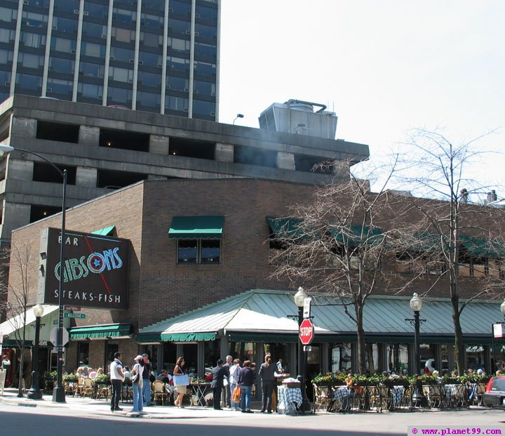 Gibson's Steak House , Chicago