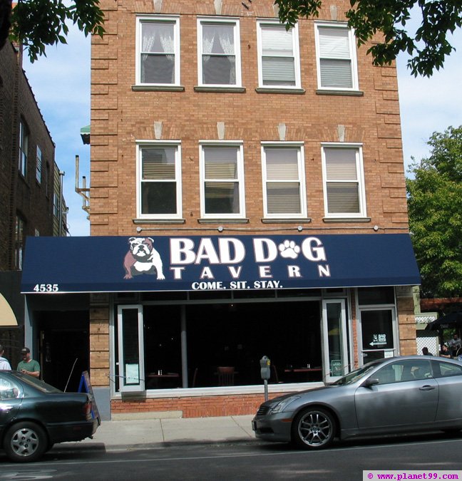 Bad Dog Tavern , Chicago