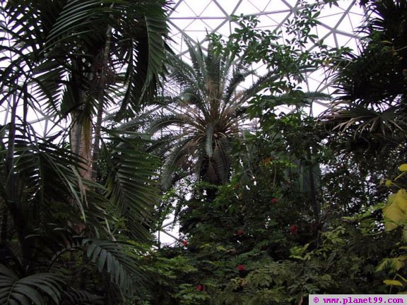 Mitchell Park Conservatory  , Milwaukee