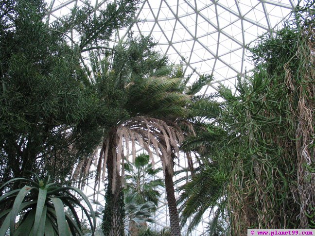 Mitchell Park Conservatory  , Milwaukee