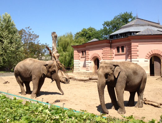 Zoo Wroclaw, Wroclaw